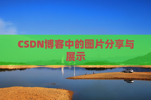 CSDN博客中的图片分享与展示